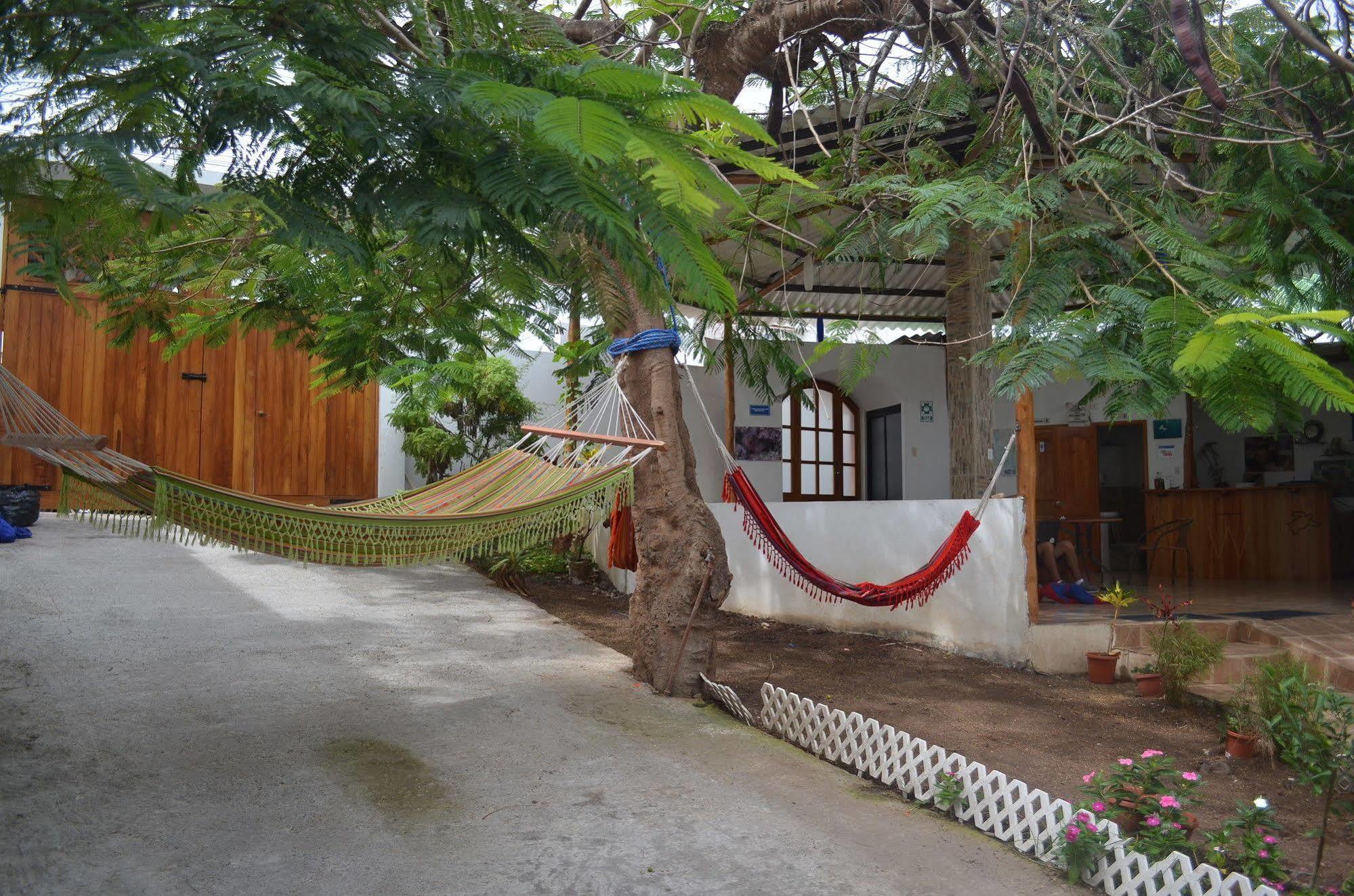 Hostal White House Galapagos Пуэрто-Айора Экстерьер фото